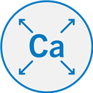 Calcium Release